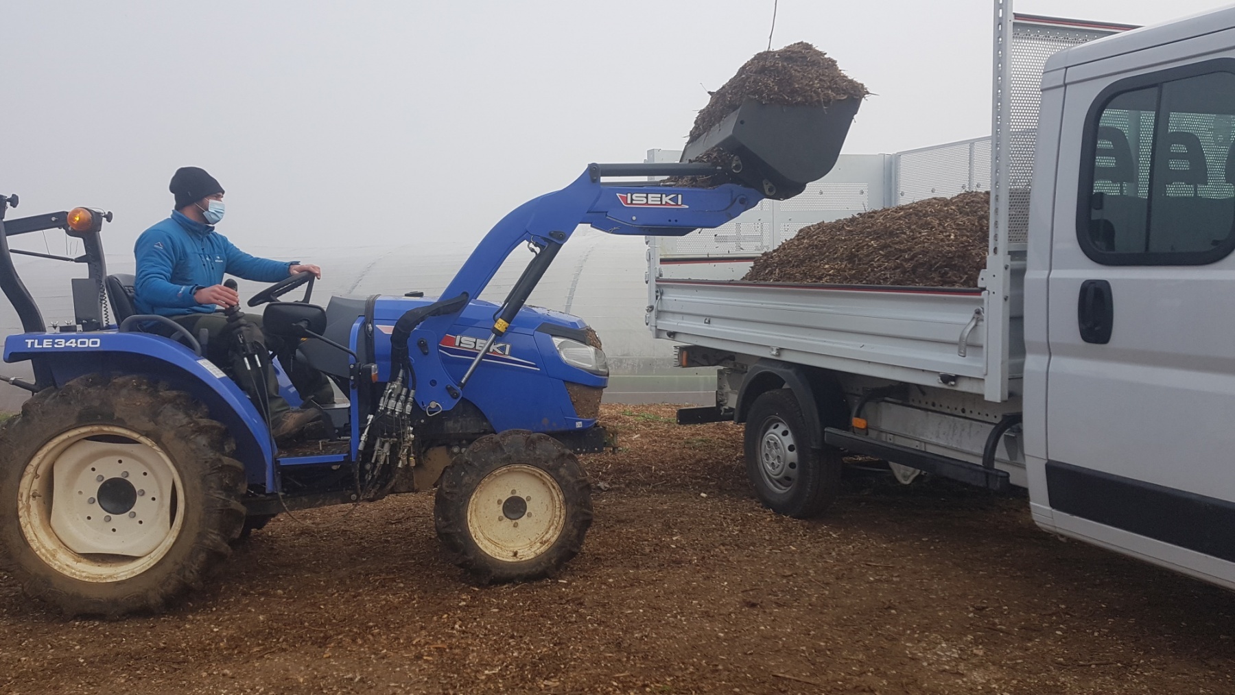 Un verger de sauvegarde