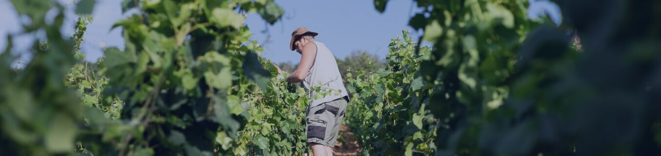 Espace collaborateurs